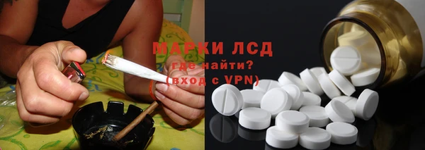 спайс Алзамай