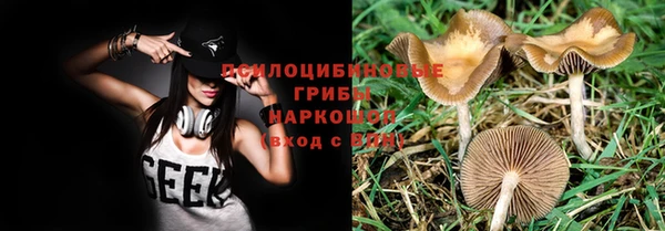 МДПВ Алексеевка