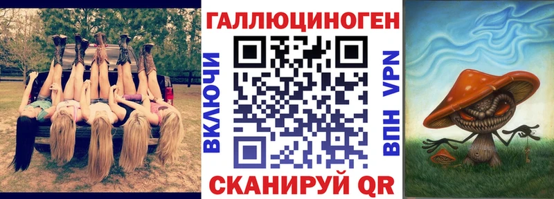 Галлюциногенные грибы Psilocybe  Апрелевка 